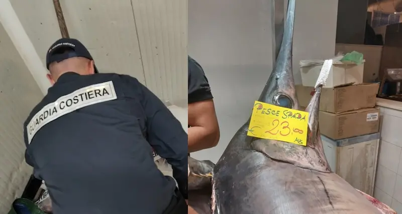 Controlli da Cagliari a Bosa: Guardia Costiera sequestra oltre 315 kg di pesce