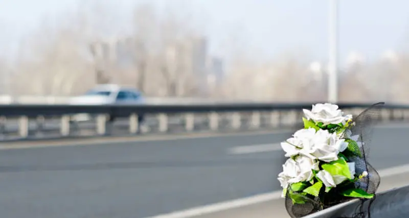 Strage pedoni: 14 morti sulle strade italiane nell'ultima settimana