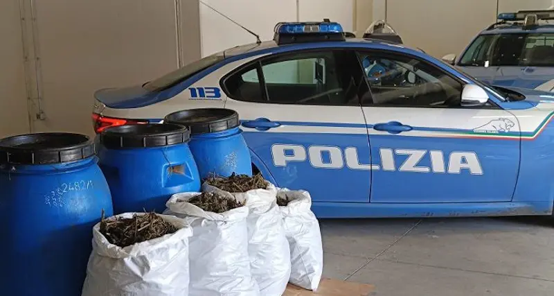 Orosei, 20 chili di marijuana nascosta tra la vegetazione