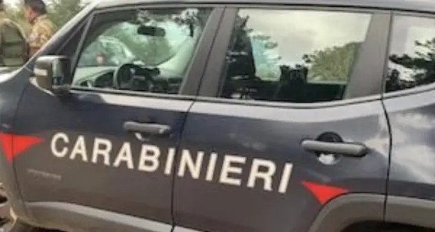 Valledoria. Traffico e detenzione illecita di sostanze stupefacenti: blitz all’alba dei Carabinieri