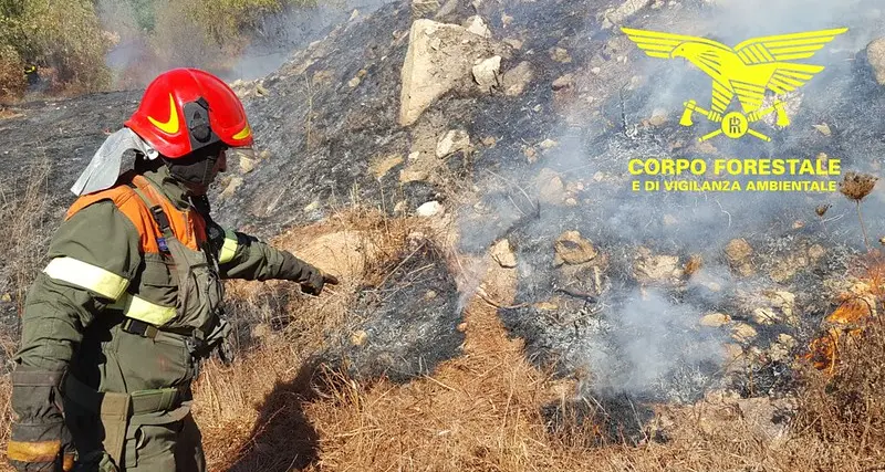 Undici gli incendi divampati in Sardegna: fiamme a Gesturi, Torpè, Sagama e Villamassargia