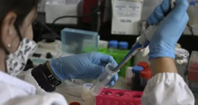 Coronavirus, due casi a Sedilo. Il sindaco: “Non esiste alcun pericolo, ma rispettate le regole”