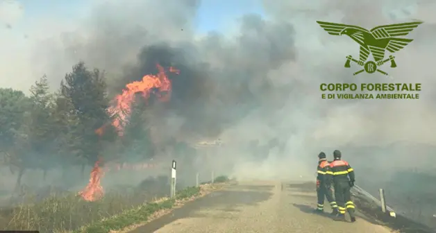 Roghi nell’Isola, sono 5 gli incendi odierni: 2 spenti con i mezzi aerei della Forestale