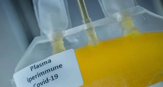 Covid, primo trattamento col plasma in Sardegna