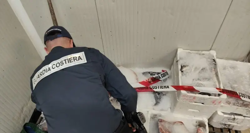 Sequestrati tre quintali di pesce dalla Guardia Costiera di Cagliari e Oristano
