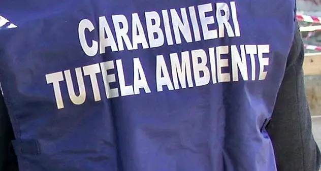 Inquinamento e disastro ambientale, operazione dei carabinieri