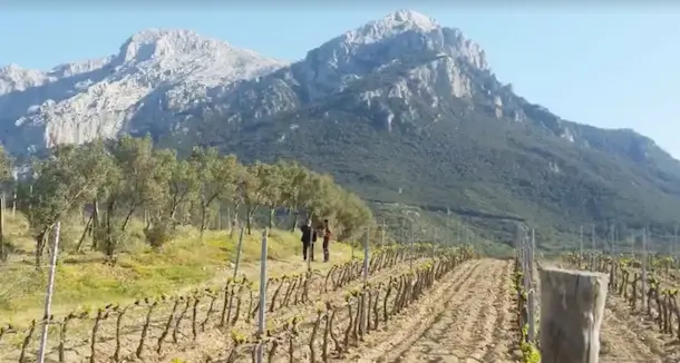 Linea Verde domenica 23 Aprile accende i riflettori sulla Sardegna...ecco dove