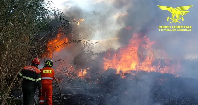 Incendi. Dipendente arrestato, Forestas: \"Ferma condanna e massima severità sul caso\"