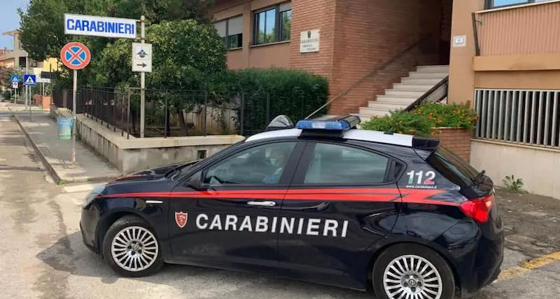 Porto Torres. Stacca la testa con un morso a un uccellino: denunciato