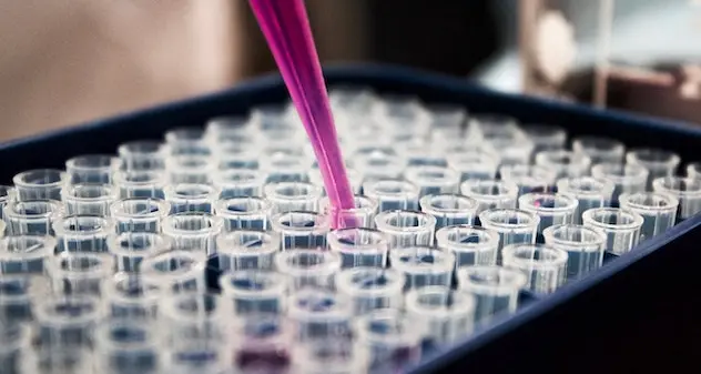 Covid. Un nuovo caso a Sedilo. Le persone positive sono ora quattro