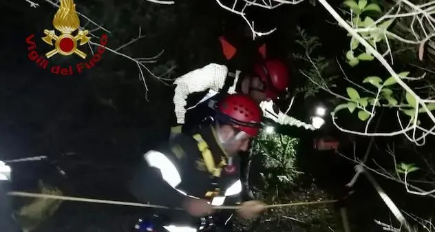 Cadono in un pozzo: Vigili del fuoco salvano tre cani da caccia