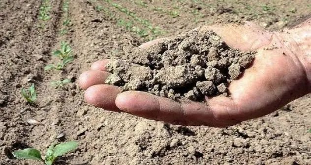 Emergenza siccità, scatta lo stop all'irrigazione nel distretto di Posada