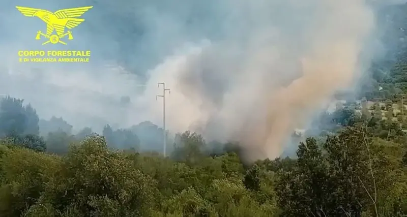 Oggi 13 incendi in Sardegna: elicotteri a Escalaplano e Dorgali