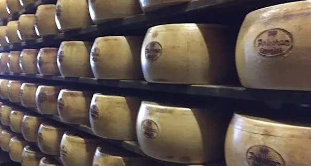 La 3A presenta il Gran Campidano, il formaggio prodotto con solo latte sardo nel grande mercato di Grana e Parmigiano