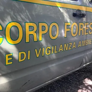 Sorpreso ad abbandonare rifiuti speciali a Golfo Aranci: imprenditore incastrato dalle telecamere
