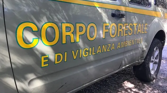 Sequestrato ad Aglientu cantiere abusivo sul mare: villa con piscina in area vincolata