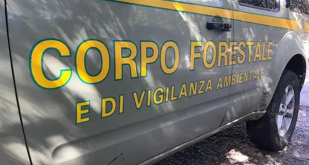 Sorpreso ad abbandonare rifiuti speciali a Golfo Aranci: imprenditore incastrato dalle telecamere