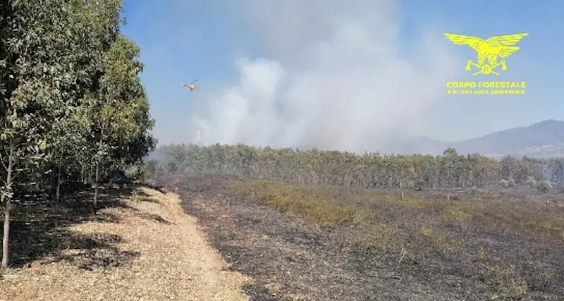Un incendio minaccia le case a Zerfaliu, anche i Canadair in azione