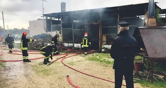 Olmedo. Fiamme nella Butterfly house: incenerita parte della struttura