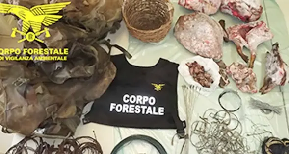 Cervi e cinghiali catturati nel parco protetto, due denunce