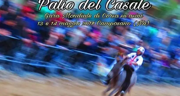 \"Palio del Casale\": Ollolai presente alla gara mondiale di corsa sugli asini con il fantino Giovanni Bussu