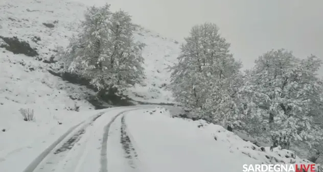 In diretta da Desulo la magia della Sardegna sotto la neve