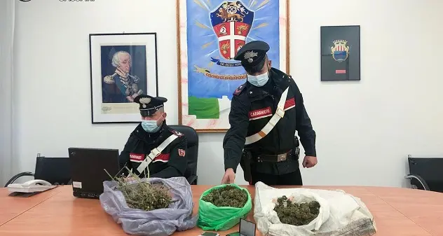 Operazione anti-droga fra Ittiri e Thiesi: 18 indagati e 4 arresti