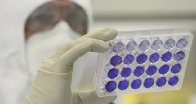 Coronavirus. Contagi in crescita in tutta Europa