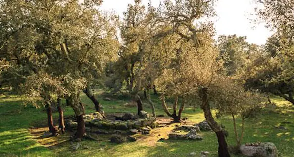 Il Parco di Tepilora riceve il Riconoscimento dell'Unesco