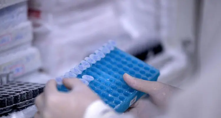 Microplastiche scoperte anche nel pene, lo studio