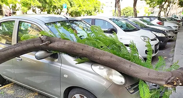 Tragedia sfiorata nel Largo Carlo Felice, grosso ramo di un albero cade su un’auto