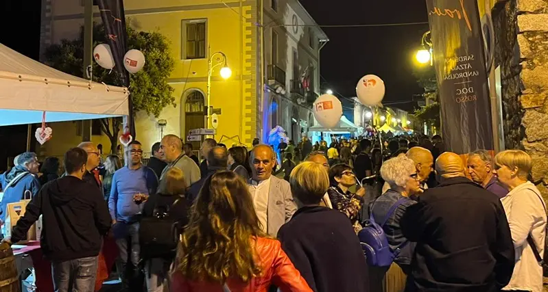 Ottimo vino, musica e tanto divertimento: ad Atzara un grande successo