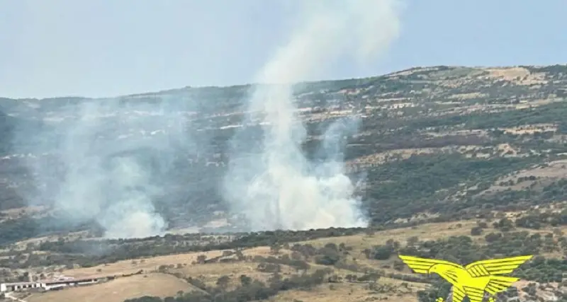 Sardegna: 11 incendi. Fiamme vicino ad aziende, morti alcuni animali