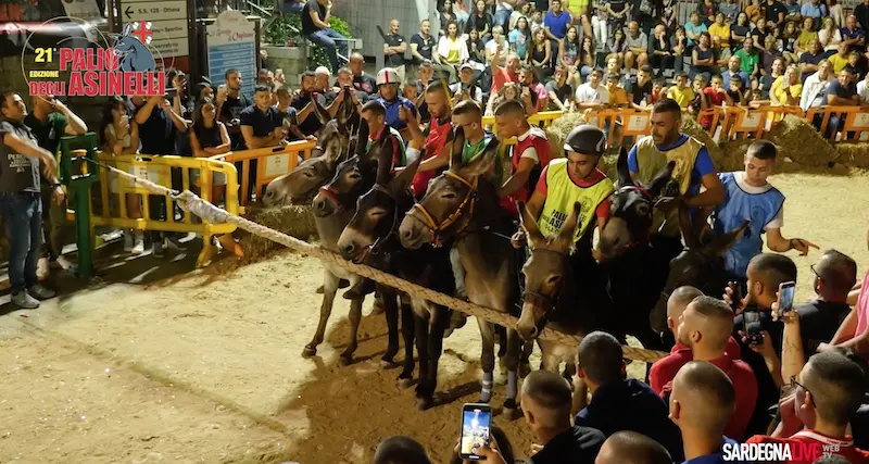 Eventi. Si scaldano i motori per il 21° Palio di Ollolai