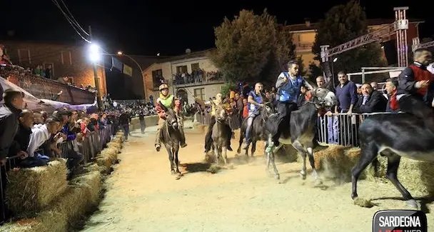 Tutto è pronto per il grande evento dell'estate in Barbagia: il 15 luglio si rinnova l'appuntamento con il Palio degli Asinelli