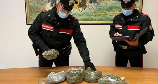 Marijuana occultata in una villetta a Pittulongu: arrestati due giovani