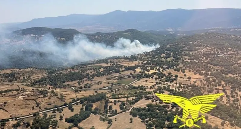 Oggi 13 incendi in Sardegna: elicotteri a Nuoro, Osidda e Nurri