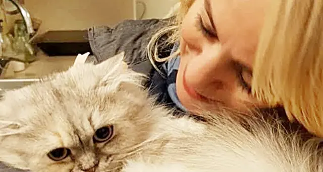 Paola Piroddi: “Ecco le casette per i gatti delle colonie feline della città\"