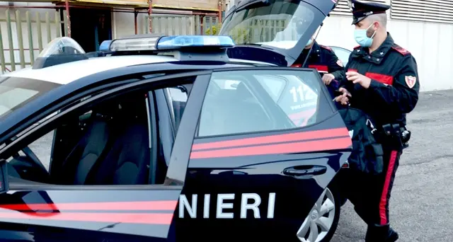 Evade dai domiciliari ma viene sorpreso a rubare in un vivaio: arrestato