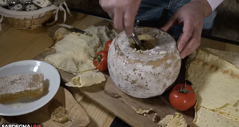 Su casu marzu: uno dei formaggi tra i più buoni del mondo