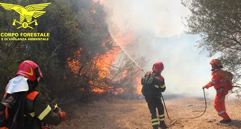 Oggi 19 incendi in Sardegna: mezzi in volo a Bonorva, Serri e Nuoro