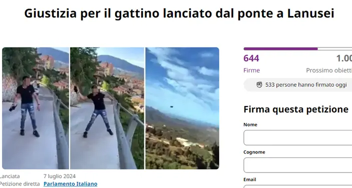 Gatto da un ponte a Lanusei: petizione per l'inasprimento della pena