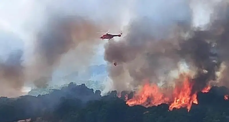 Ondate di calore: scatta l’allerta per pericolo incendi da domani in Sardegna