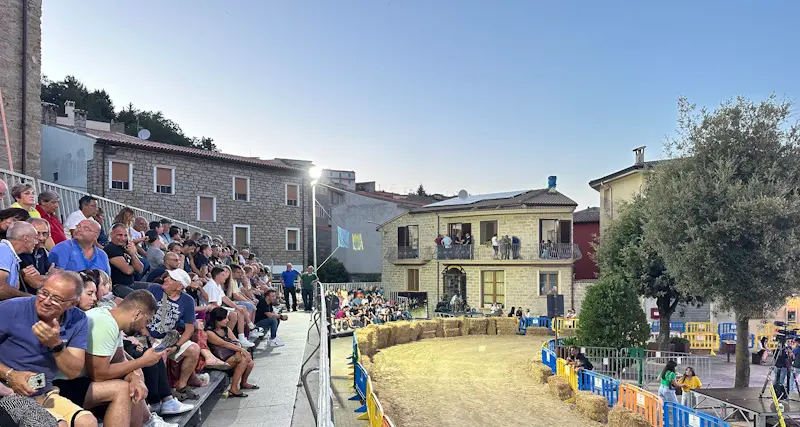 In diretta da Ollolai la 21^ edizione del Palio degli Asinelli