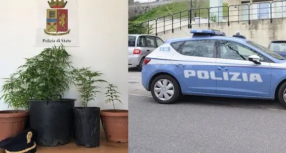 Coltivava piante di marijuana in casa: denunciato 21enne