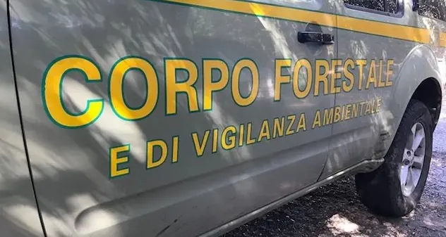 Santa Gilla. Blitz della Forestale: sequestrate baracche e discariche abusive