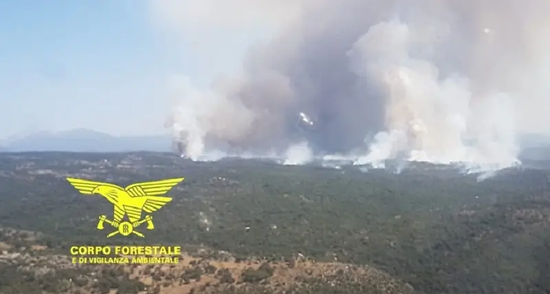 In Sardegna divampano 12 incendi, si riaccendono anche vecchi roghi