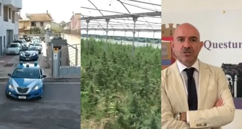 Maxi piantagione, l'inseguimento e gli arresti: succede di tutto a Siamaggiore