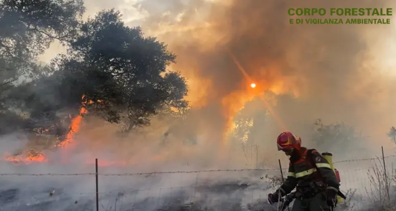 Incendi. Canadair ed elicotteri operativi dall'alba in Sardegna