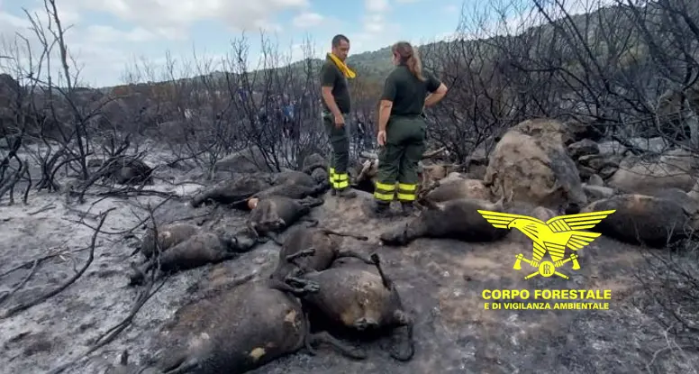 La Pro loco Orotelli propone raccolta fondi dopo il devastante incendio